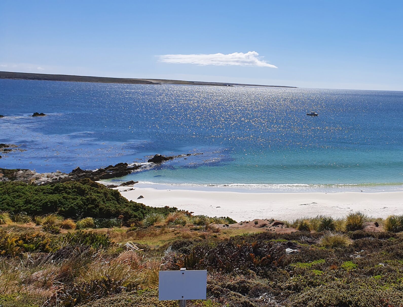 Attractions Within Stanley yorke bay