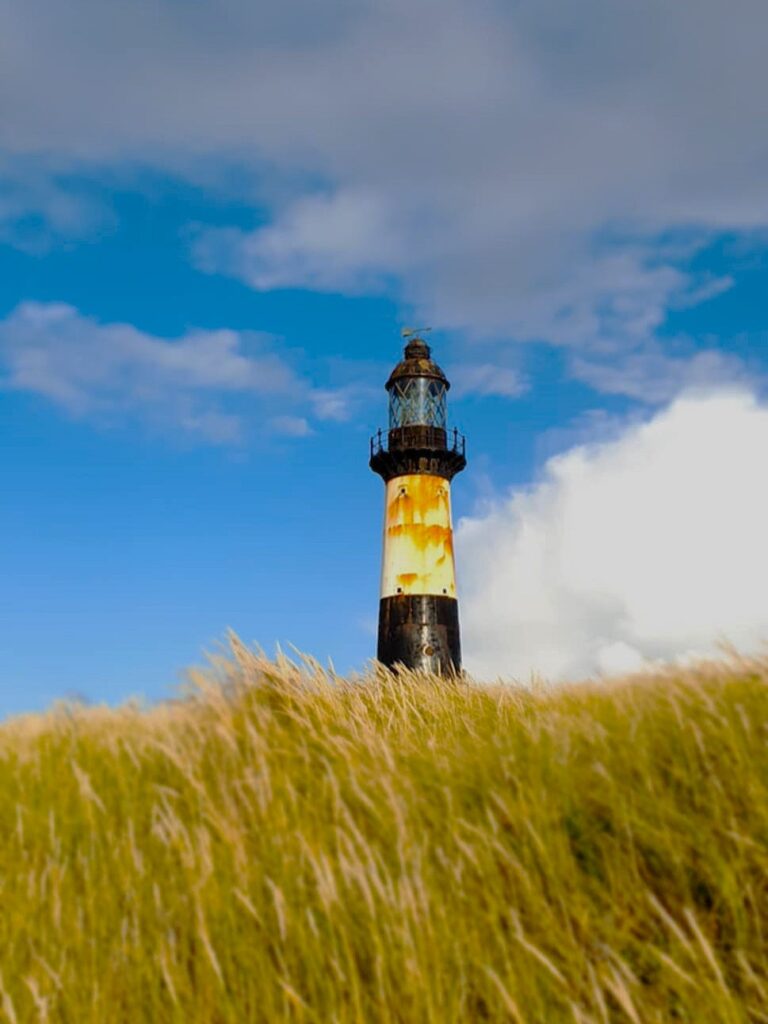 36a0e47b 45f5 4ecd 8ec8 141489e1aa1e 36a0e47b 45f5 4ecd 8ec8 141489e1aa1e