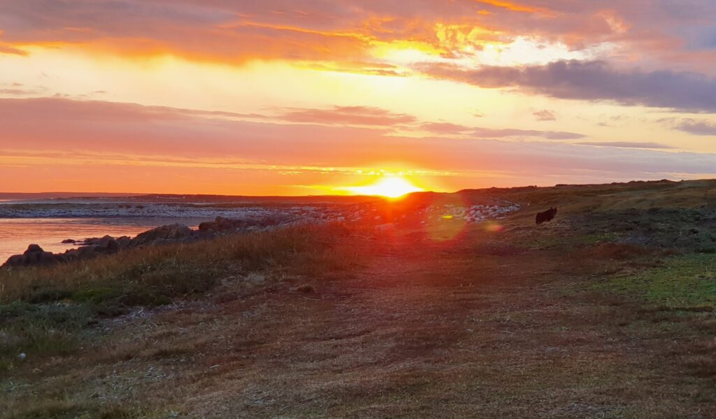 transportation service transportation service